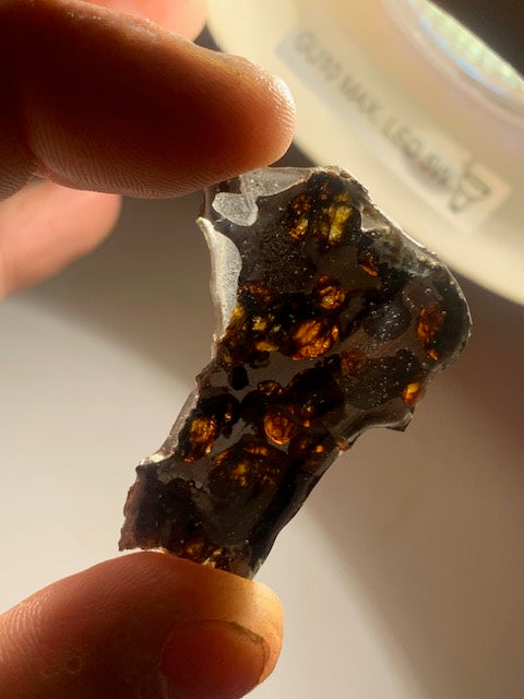 Selection of 'Pallasite Sericho' meteorites – from 6 to 40 g – magnificent inclusions of large olivine crystals