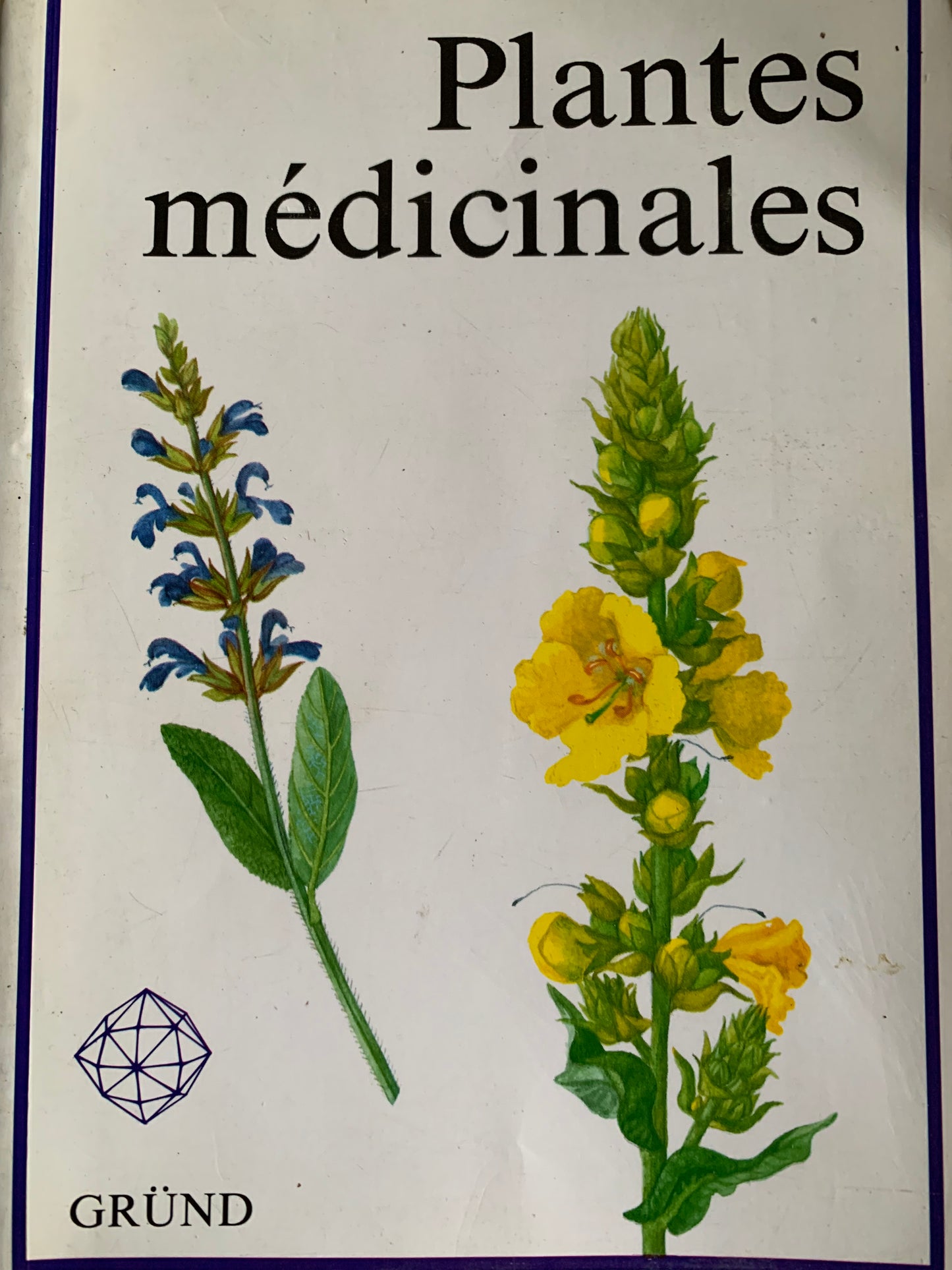 Livre : Plantes médicinales par Frantisek Stary | Editions GRUND