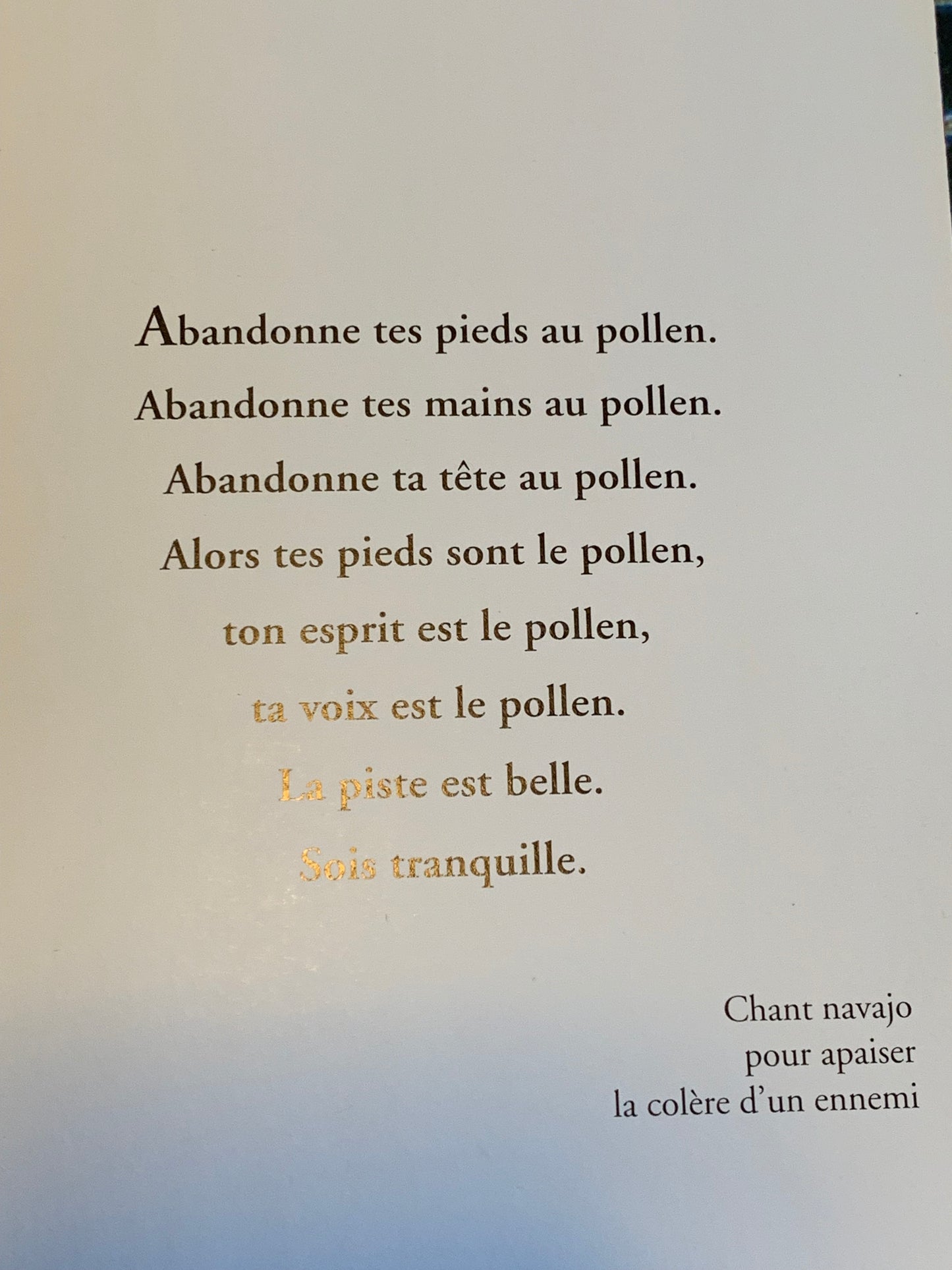 Livre : Paroles de Chamans par Henri Gougaud  | Editions ALBIN MICHEL
