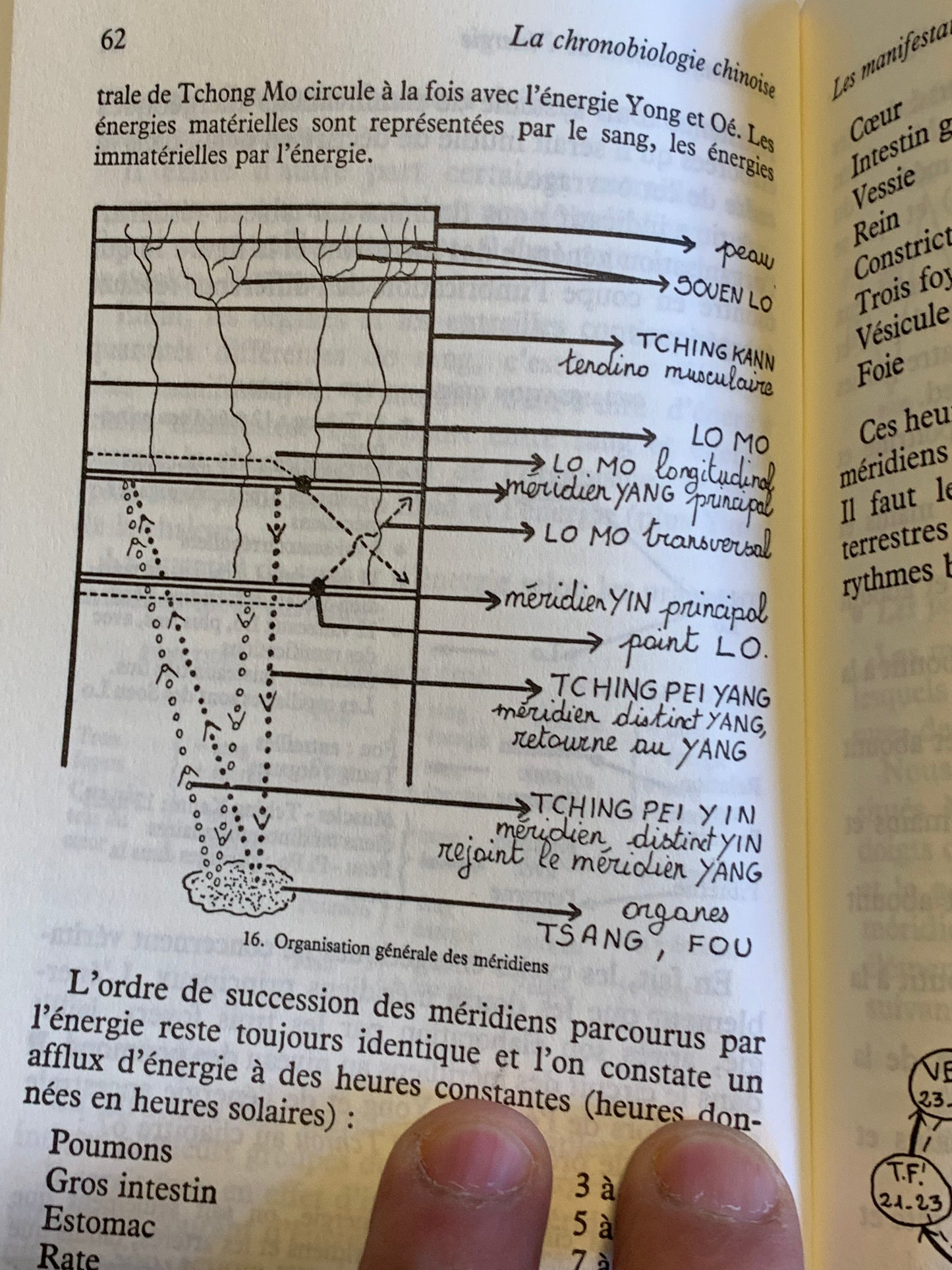 Livre : La Chronobiologie Chinoise par Gabriel Faubert et Pierre Crépon | Editions ALBIN MICHEL