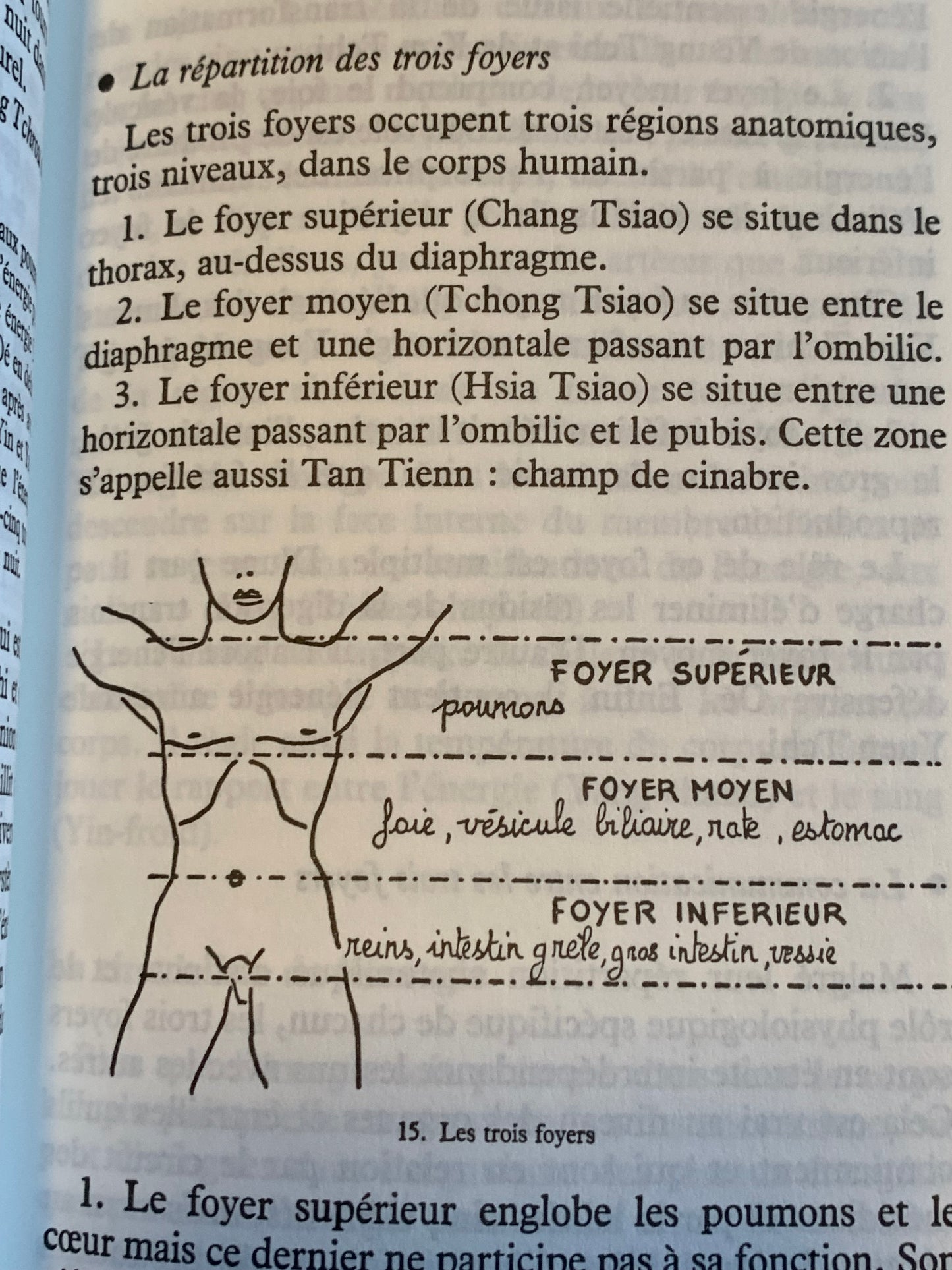 Livre : La Chronobiologie Chinoise par Gabriel Faubert et Pierre Crépon | Editions ALBIN MICHEL