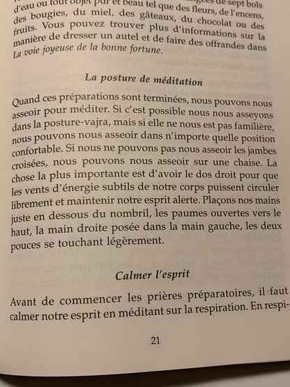 Livre : Le manuel de méditation. Un guide clair et pratique qui explique la méditation bouddhiste étape par étape | Editions THARPA