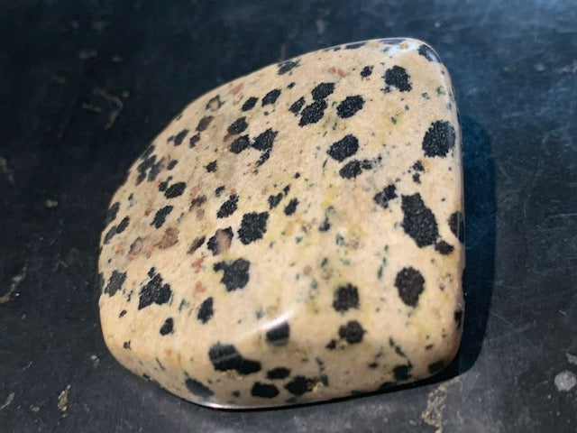 Jaspe dalmatien brut – Spécimen de 40 × 40 × 15 mm pour un poids de 24 g. Une magnifique pierre naturelle, idéale pour la collection ou l’exposition.