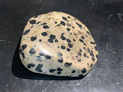 Jaspe dalmatien brut – Spécimen de 40 × 40 × 15 mm pour un poids de 24 g. Une magnifique pierre naturelle, idéale pour la collection ou l’exposition.