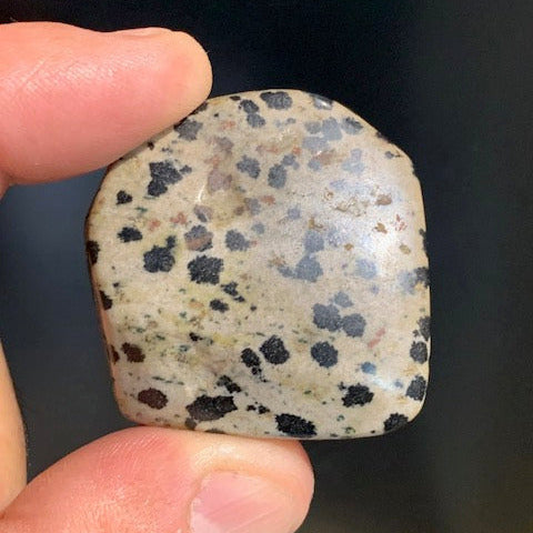 Dalmatian Jasper - Raw specimen of 40 x 40 x 15mm - 24 grams! Very nice stone to display!