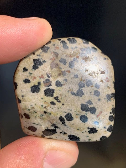 Jaspe dalmatien brut – Spécimen de 40 × 40 × 15 mm pour un poids de 24 g. Une magnifique pierre naturelle, idéale pour la collection ou l’exposition.