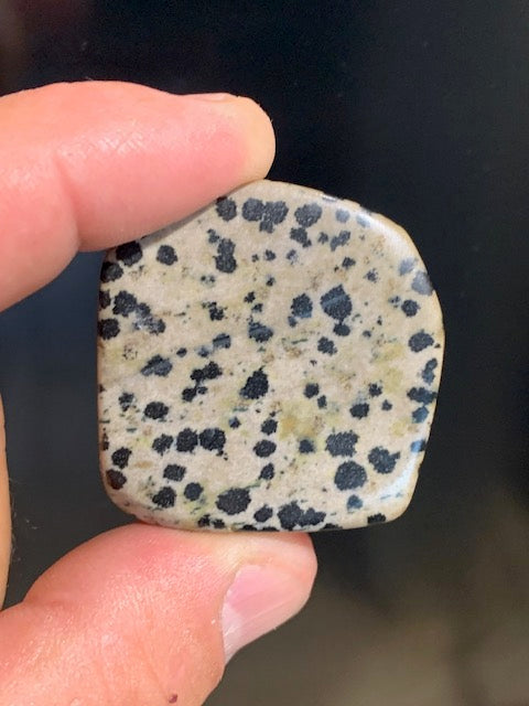 Jaspe dalmatien brut – Spécimen de 40 × 40 × 15 mm pour un poids de 24 g. Une magnifique pierre naturelle, idéale pour la collection ou l’exposition.