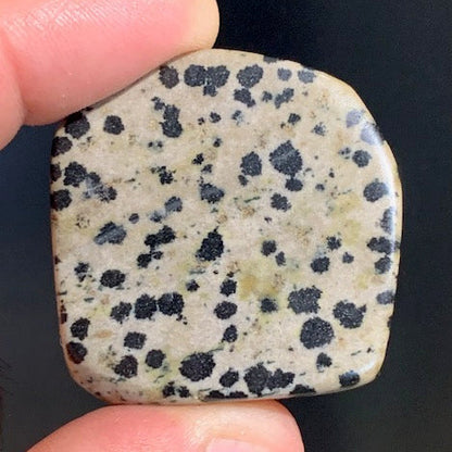 Jaspe dalmatien brut – Spécimen de 40 × 40 × 15 mm pour un poids de 24 g. Une magnifique pierre naturelle, idéale pour la collection ou l’exposition.