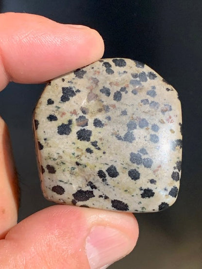 Jaspe dalmatien brut – Spécimen de 40 × 40 × 15 mm pour un poids de 24 g. Une magnifique pierre naturelle, idéale pour la collection ou l’exposition.