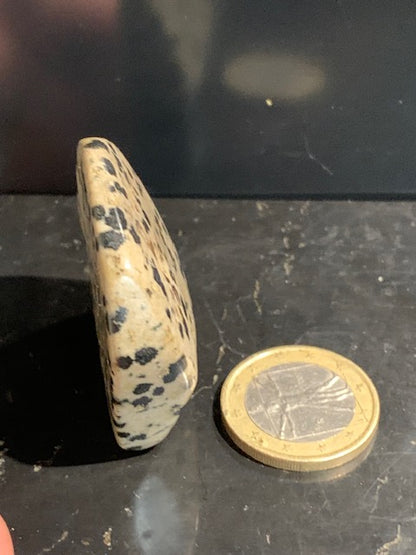 Jaspe dalmatien brut – Spécimen de 40 × 40 × 15 mm pour un poids de 24 g. Une magnifique pierre naturelle, idéale pour la collection ou l’exposition.