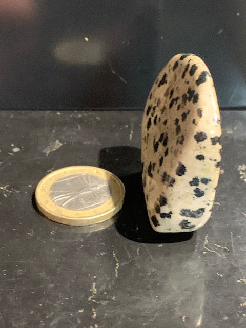 Jaspe dalmatien brut – Spécimen de 40 × 40 × 15 mm pour un poids de 24 g. Une magnifique pierre naturelle, idéale pour la collection ou l’exposition.