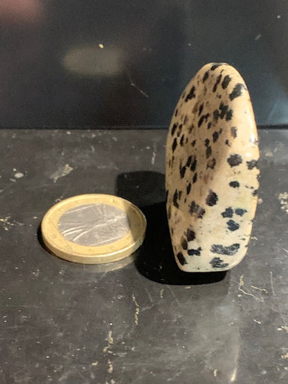 Jaspe dalmatien brut – Spécimen de 40 × 40 × 15 mm pour un poids de 24 g. Une magnifique pierre naturelle, idéale pour la collection ou l’exposition.