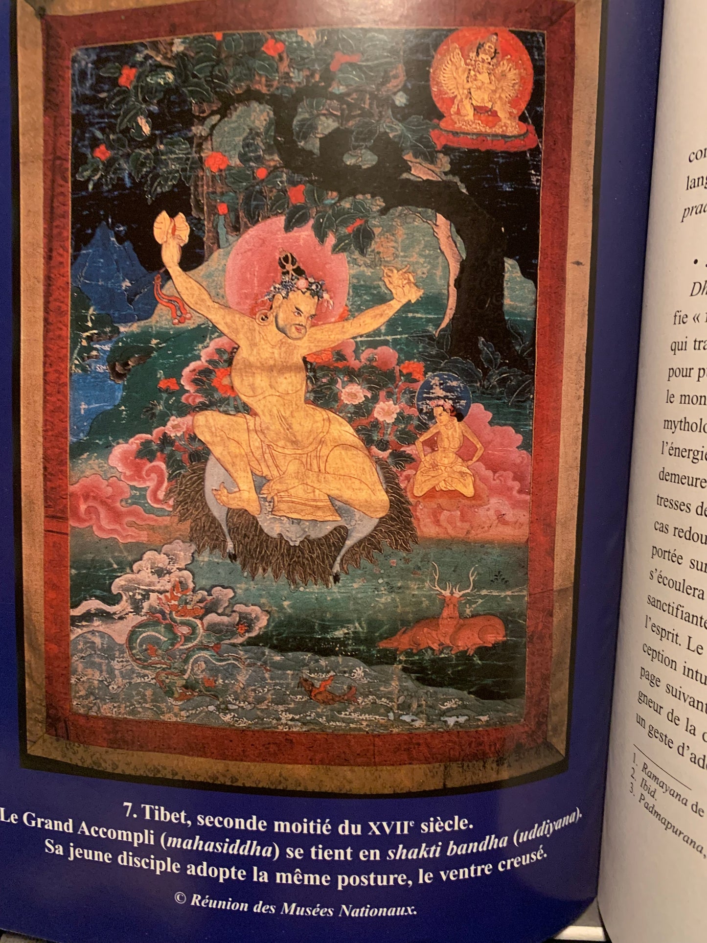 Livre : Le Souffle, Parole De Vie. Pranayama par Shri Mahesh | Editions Du Rocher