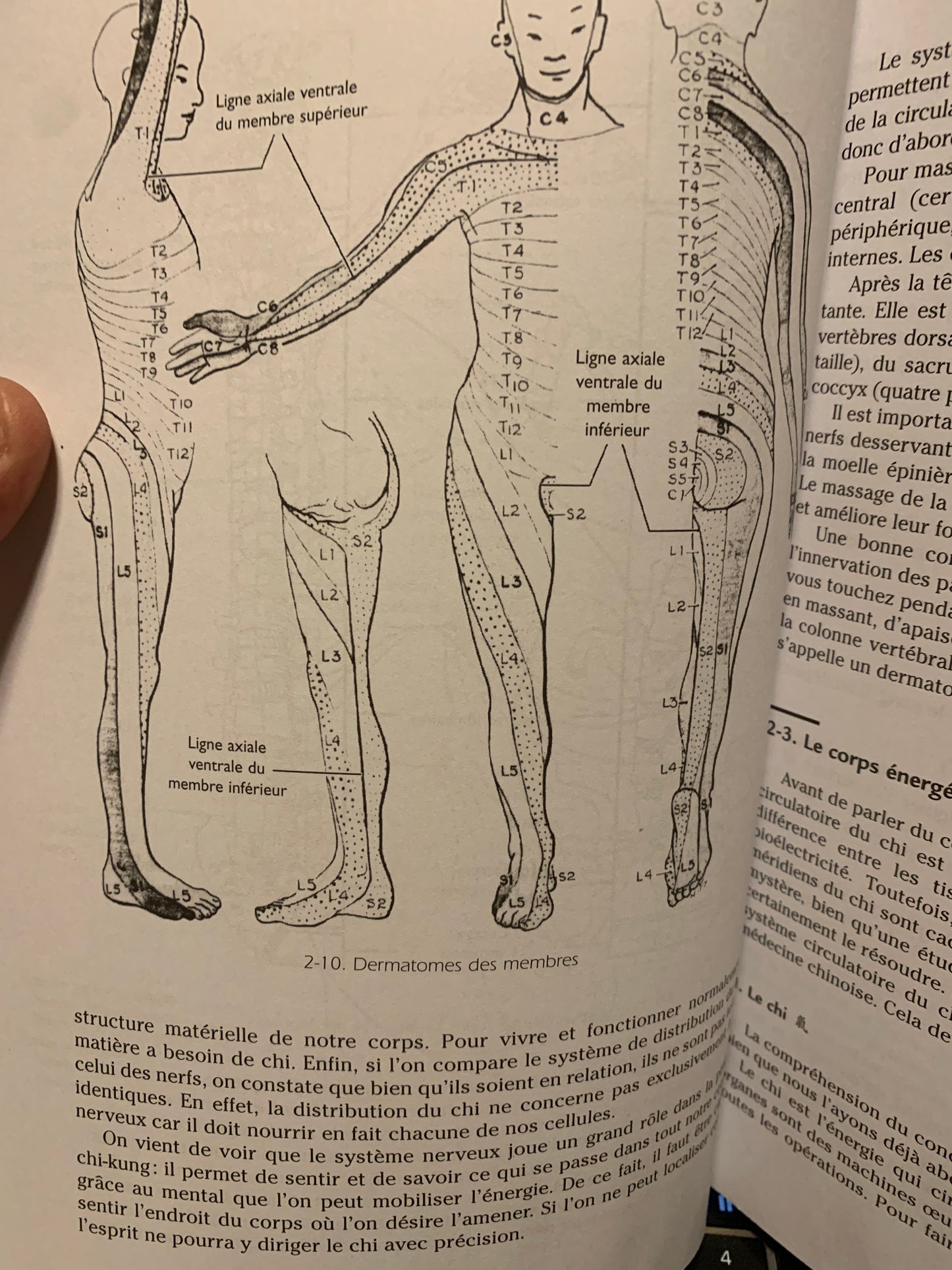 Livre : Massage Chi-Kung par Jwing-ming (dr) Yang | Budo Éditions