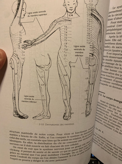 Livre : Massage Chi-Kung par Jwing-ming (dr) Yang | Budo Éditions