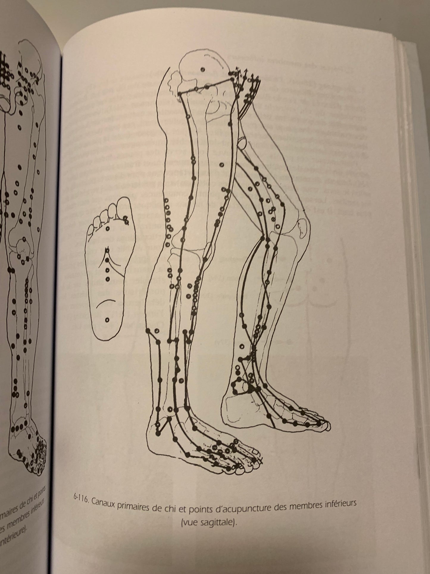 Livre : Massage Chi-Kung par Jwing-ming (dr) Yang | Budo Éditions