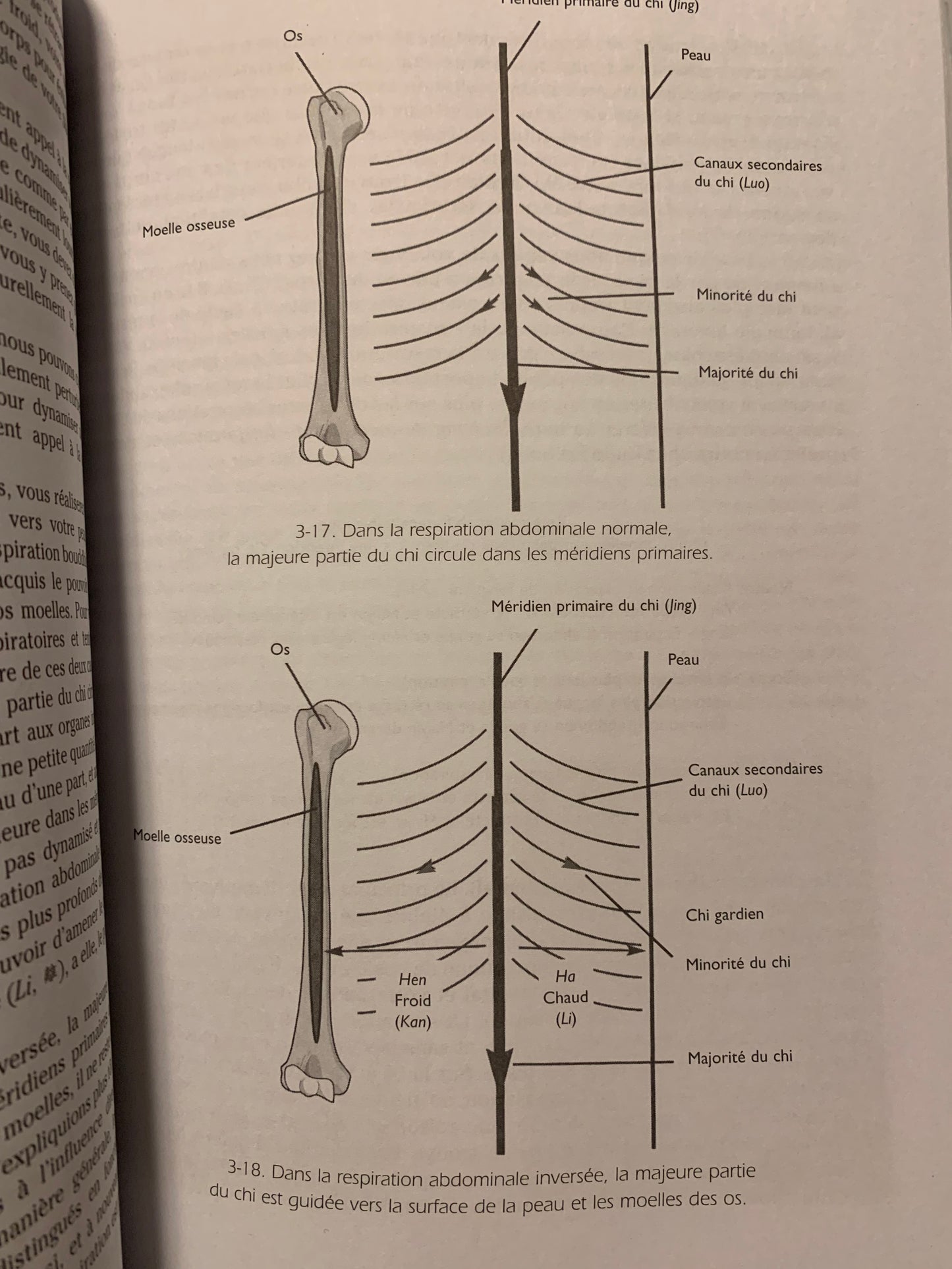 Livre : Massage Chi-Kung par Jwing-ming (dr) Yang | Budo Éditions