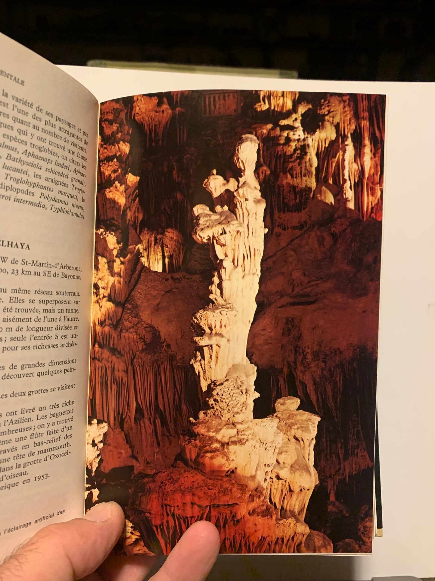 Livre : Guide des Grottes d'Europe occidentale par Aellen Villy et Strinati Pierre | Éditions Delachaux Et Niestlé