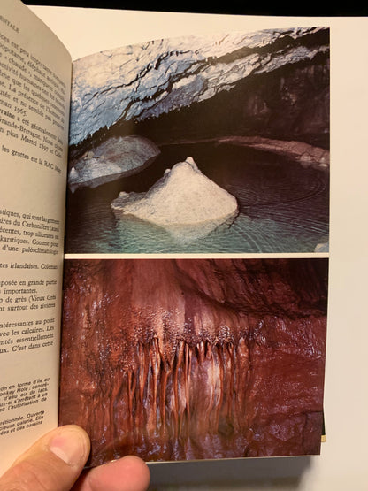 Livre : Guide des Grottes d'Europe occidentale par Aellen Villy et Strinati Pierre | Éditions Delachaux Et Niestlé