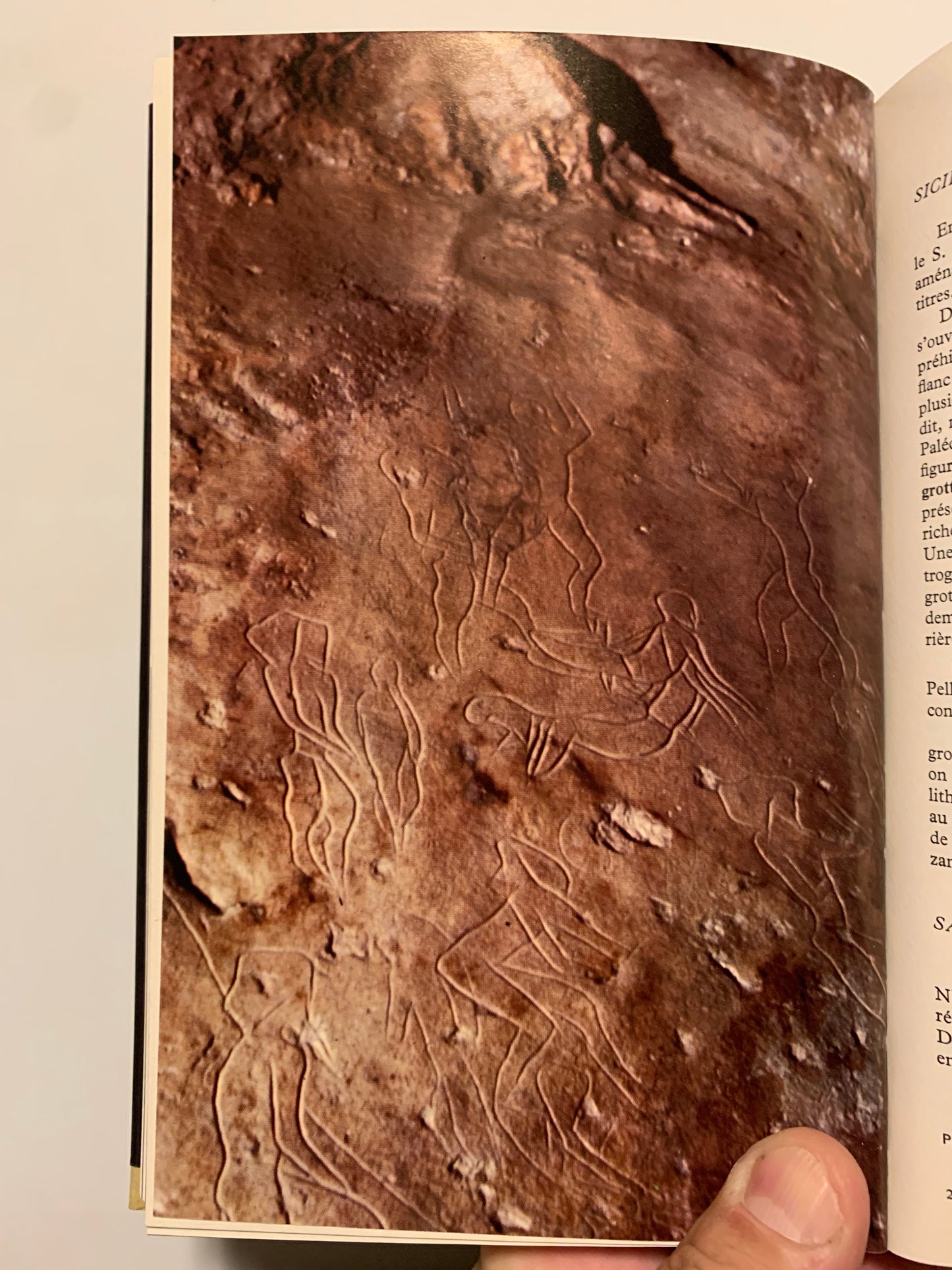 Livre : Guide des Grottes d'Europe occidentale par Aellen Villy et Strinati Pierre | Éditions Delachaux Et Niestlé