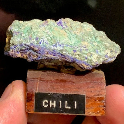 Azurite Chrysocolle - Collection ancienne - Spécimen brut d'agrégat sur socle - de 60 x 40 x 25 mm - 58,3 gr.