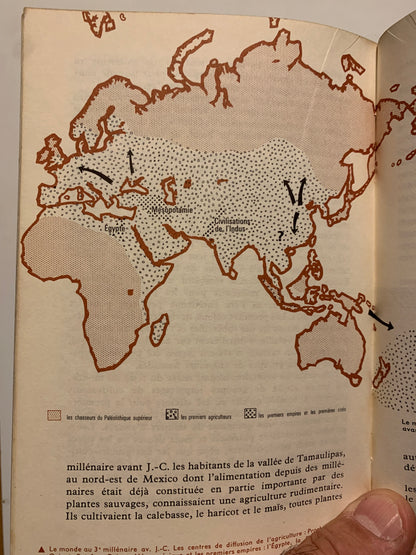 Livre : De 1963 | L'archéologie préhistorique | Annette Laming-Emperaire | Éditions Les Rayons De La Science