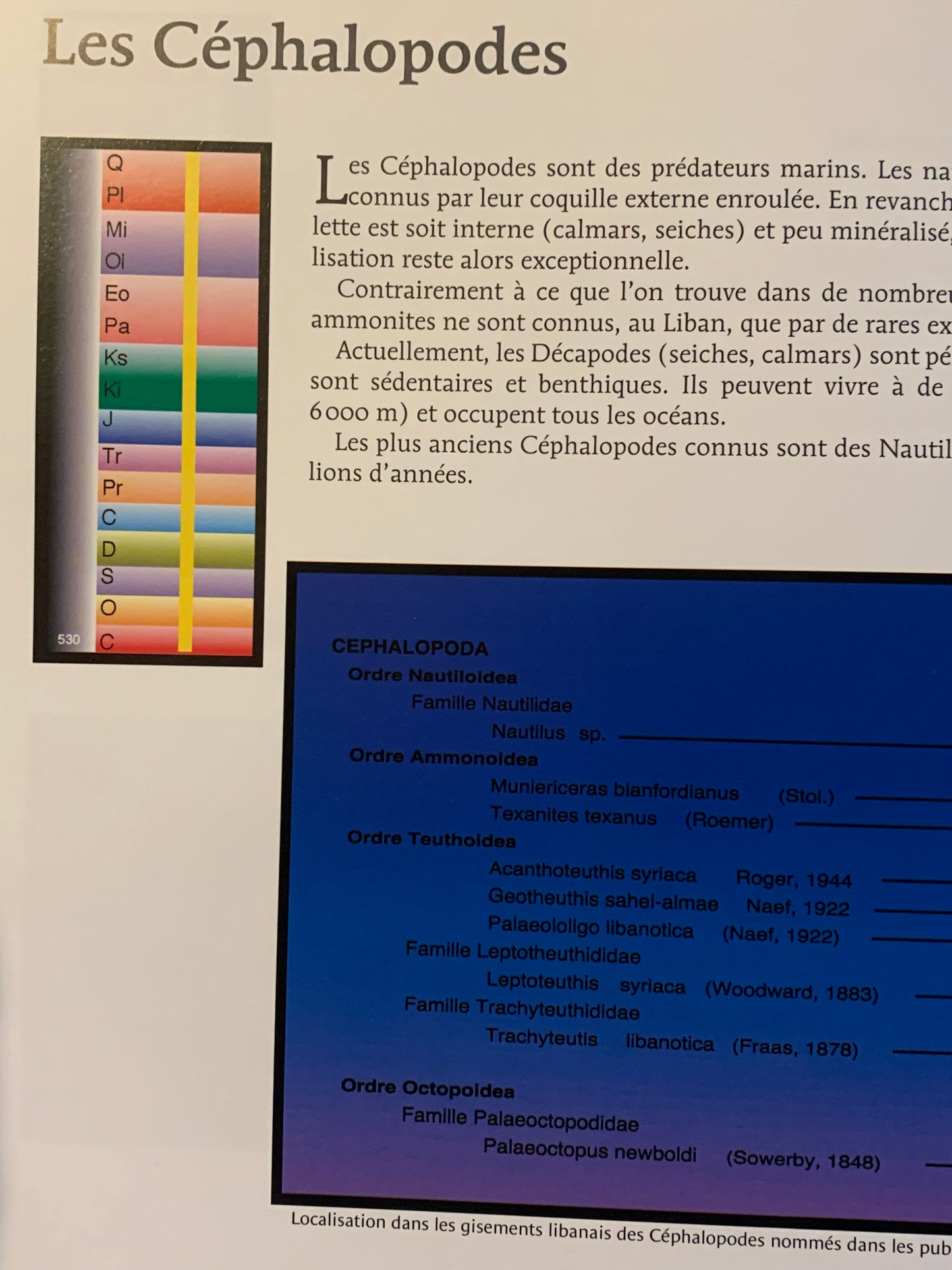 Livre : Les poissons fossiles par un collectif d'Auteur | Format Broché | Editions Liban - Mémoire du Temps