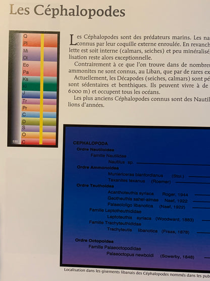 Livre : Les poissons fossiles par un collectif d'Auteur | Format Broché | Editions Liban - Mémoire du Temps