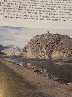 Livre : Trésors du Tibet | Editions  Muséum National d'Histoire Naturelle