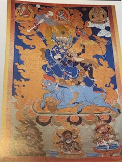 Livre : Trésors du Tibet | Editions  Muséum National d'Histoire Naturelle