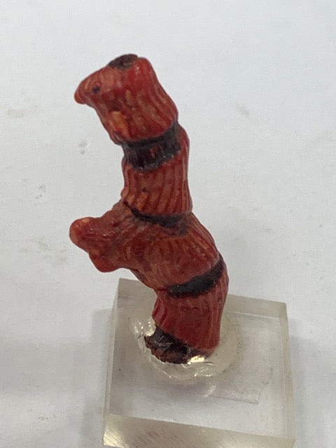 Gorgone (Corail) sur socle – Spécimen de 40 × 15 × 9 mm – 25 g