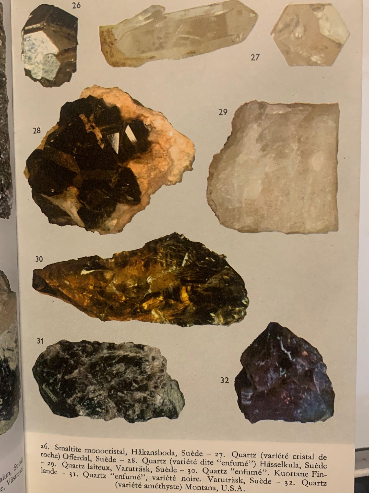 Livre : Minéraux et Roches par Karen Calissen | Format Broché | Editions Fernand Nathan