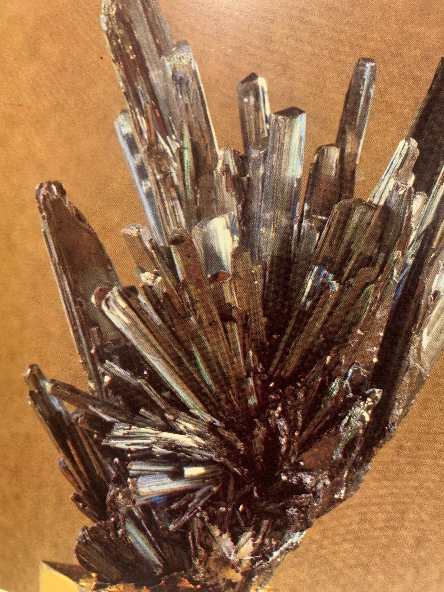 Livre : Cette folie des minéraux par Pierre Sogno | Format Broché | Éditions Flammarion