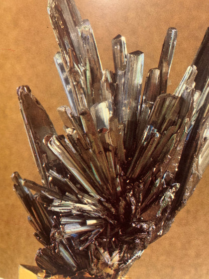 Livre : Cette folie des minéraux par Pierre Sogno | Format Broché | Éditions Flammarion