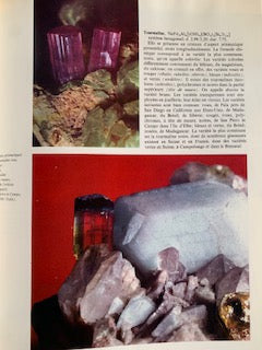 Livre : MINÉRAUX - Collection La Nature et ses Merveilles par MICHELE VINCENZO | In-folio (grand format) | Editions GRANGE BATELIERE