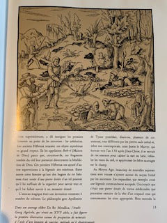 Book: The Kingdom of Minerals by Paul E. Desautels | Folio (large format) | ARTHAUD Editions