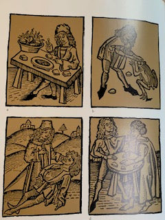 Book: The Kingdom of Minerals by Paul E. Desautels | Folio (large format) | ARTHAUD Editions