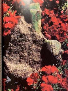 Livre : Les pierres qui guérissent selon Hildegarde de Bingen par Michael Gienger | Broché | Editions Guy Trédaniel