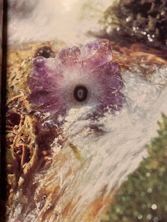 Livre : Les pierres qui guérissent selon Hildegarde de Bingen par Michael Gienger | Broché | Editions Guy Trédaniel