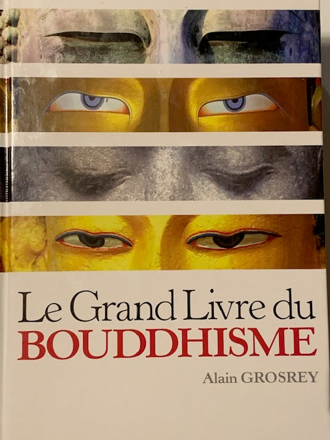 Livre : Le Grand Livre Du Bouddhisme par Alain Grosrey | Editions ALBIN MICHEL