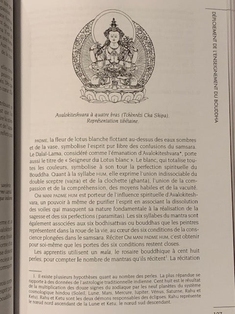 Book: The Great Book of Buddhism by Alain Grosrey | Albin Michel Publishers