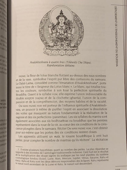 Book: The Great Book of Buddhism by Alain Grosrey | Albin Michel Publishers