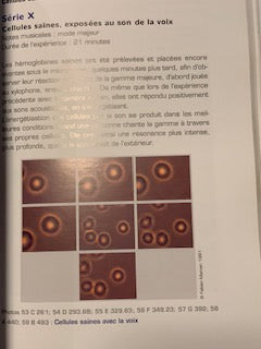 Livre : Le TAO du Son - 'Thérapie sonique pour le XXIe siècle' par Fabien Maman | Editions GUY TREDANIEL