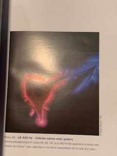 Livre : Le TAO du Son - 'Thérapie sonique pour le XXIe siècle' par Fabien Maman | Editions GUY TREDANIEL