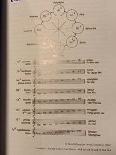 Livre : Le TAO du Son - 'Thérapie sonique pour le XXIe siècle' par Fabien Maman | Editions GUY TREDANIEL