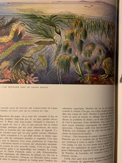 Livre : Inventeurs et Découvertes par Albert Bettex | Broché | - Chez Hachette