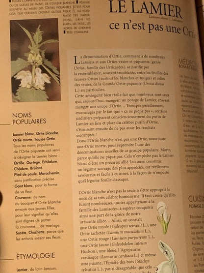 Book: The Forgotten Herbarium by Bernard Bertrand | Paperback | - Published by 'Plume de Carotte'