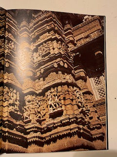 Book: Hindu Temples by Paul Martin-Dubost | Paperback | Published by DELROISSE