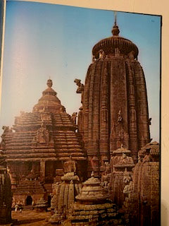 Book: Hindu Temples by Paul Martin-Dubost | Paperback | Published by DELROISSE