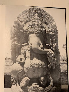 Book: Hindu Temples by Paul Martin-Dubost | Paperback | Published by DELROISSE